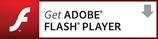 adobe flash logo